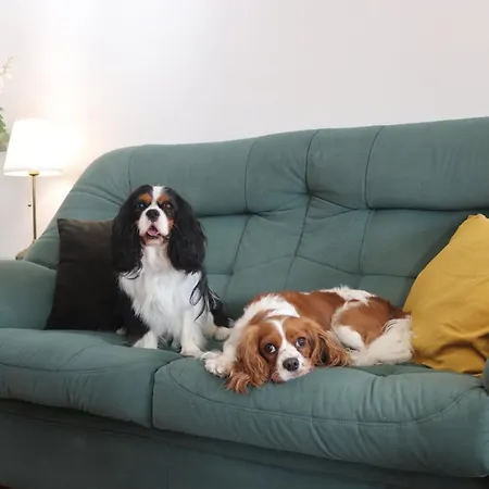Alieira's House - Pet Friendly *